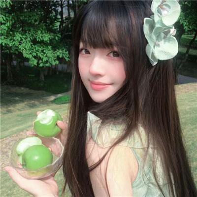暗芝居第四季